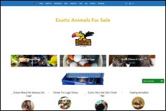 exoticanimalsforsaleonline.net